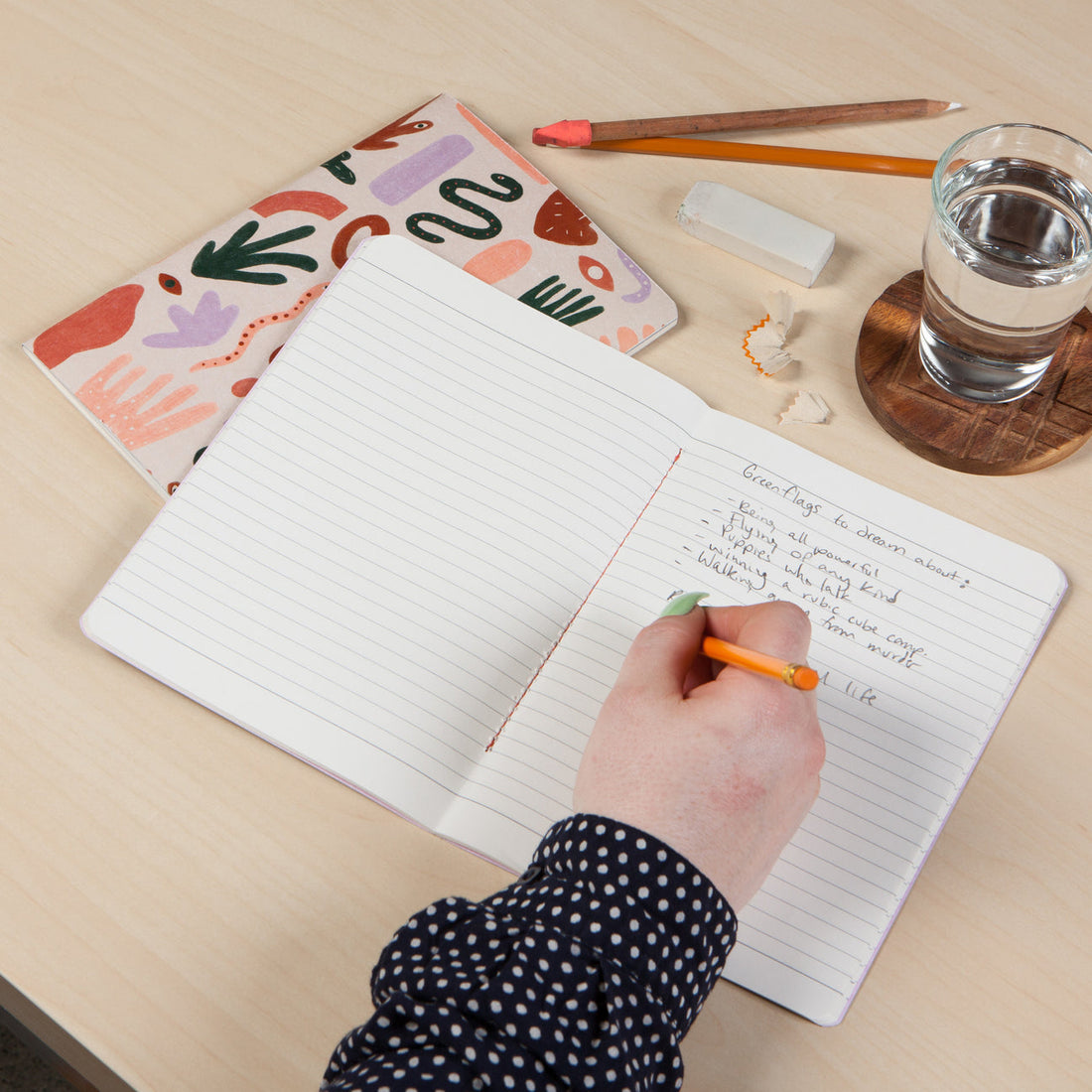 Curio Notebook | Set of 2